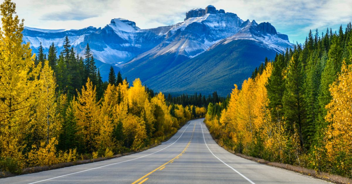 Driving in Canada: Your Complete Guide - Direct Car Hire Excess